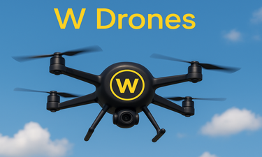 wDrones.com - Creative brandable domain for sale